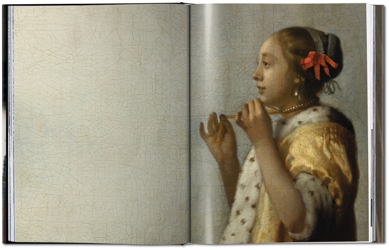 Johannes Vermeer. Das vollständige Werk