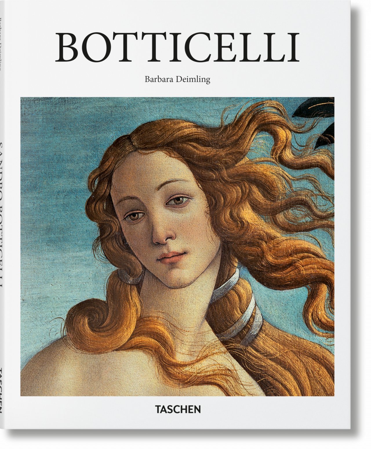 Botticelli | Die sinnträchtige Qualität der Linie - Hardcover